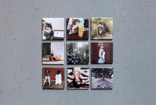 Fridge Photo Magnets
